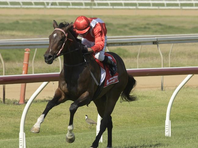 The owners of Rockhampton galloper Marway (pictured winning) have knocked back a big offer for the horse.