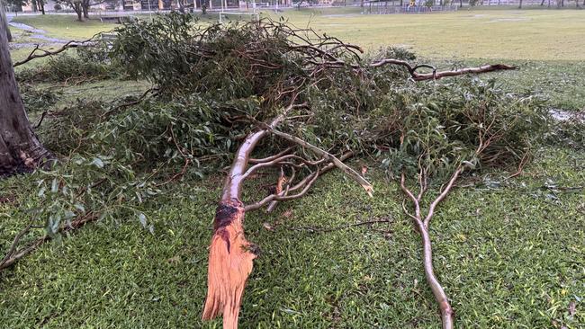 Debris in Ron Short Park, Southport Picture: Andrew Potts