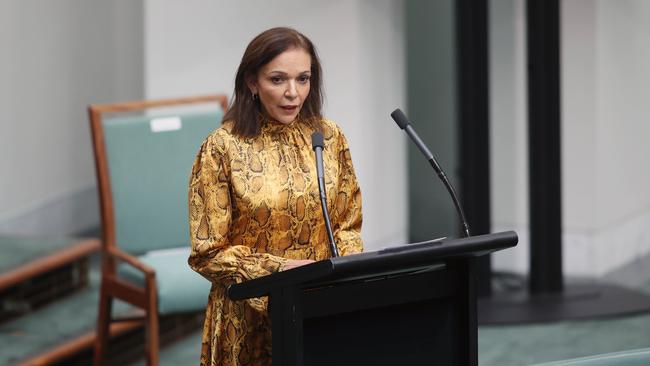 Dr Anne Aly spoke about the abuse she has received from trolls online. Picture: NCA NewsWire / Gary Ramage