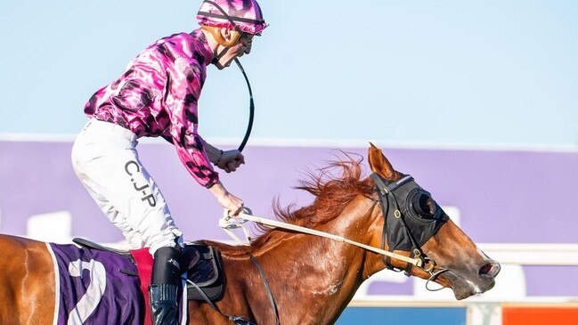 Ripcord launched to win the Placid Ark Stakes for trainer Luke Fernie and jockey Clint Johnston-Porter. Picture: Western Racepix