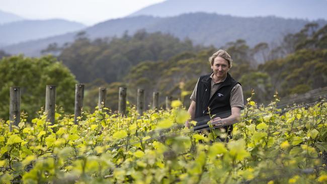 Clover Hill vineyard manager Matthew Cox says ‘we have some particularly entertaining slopes here that really do give each site individuality’.