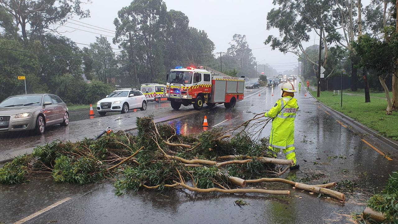A tree across the road on Forest Way at Belrose. Picture: Ingleside Rural Fire Brigade