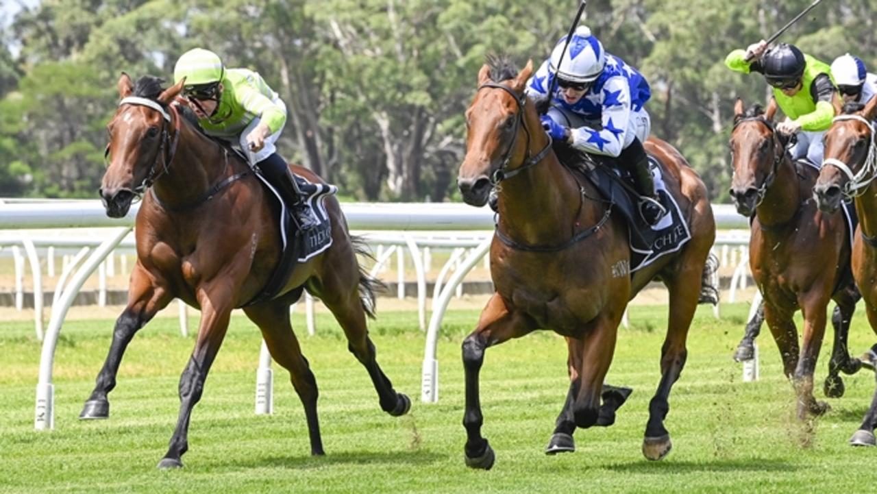 King Of Pop makes Golden Slipper statement at Warwick Farm