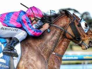 Sandown races