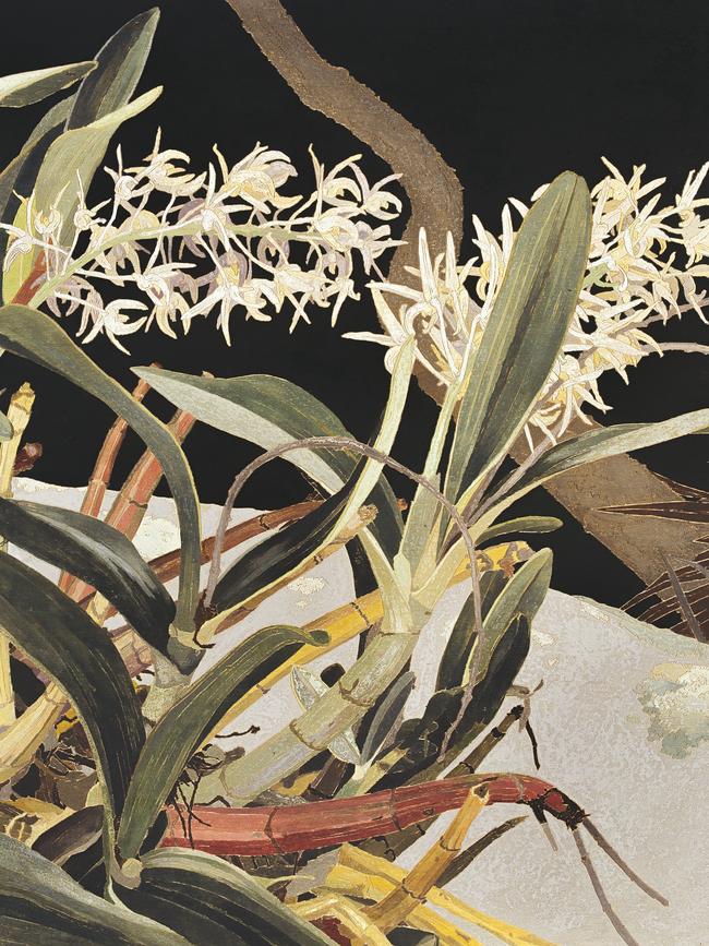 Rock Lilies by Cressida Campbell.