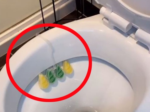 Correct way to use common toilet cleaner. Picture: TikTok/fibasince93