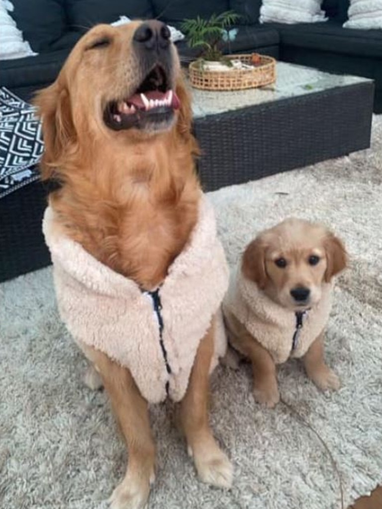 Kmart s 9 fleece dog coat popular with pet owners Photos news Australia s leading news site