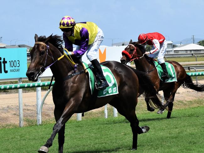 The contestants in the Enlightened Financial Services Maiden Plate 1300m race at the Melbourne Cup Day event at Mackay Turf Club, Ooralea, November 3, 2020. Picture: Heidi Petith