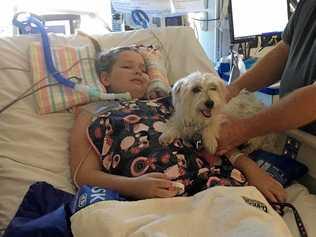 Abbie Sweeper, 10, receives a special visitor at the ICU in the Brisbane Children's Hospital. Picture: Facebook