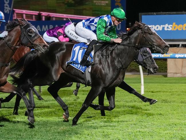 Consistent mare Grid Girl steps up to her favourite distance at Wednesday's Sandown meeting. Picture: Racing Photos via Getty Images.