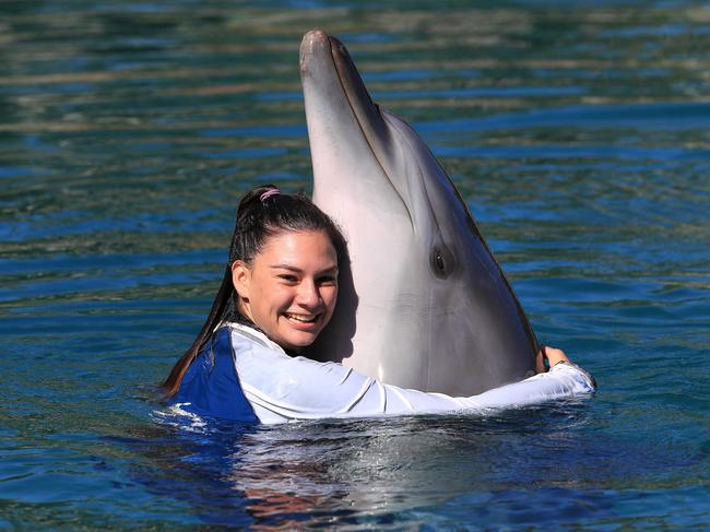 Sea World dolphin handler Brooke Pelizzari with Kiama. Picture: Adam Head