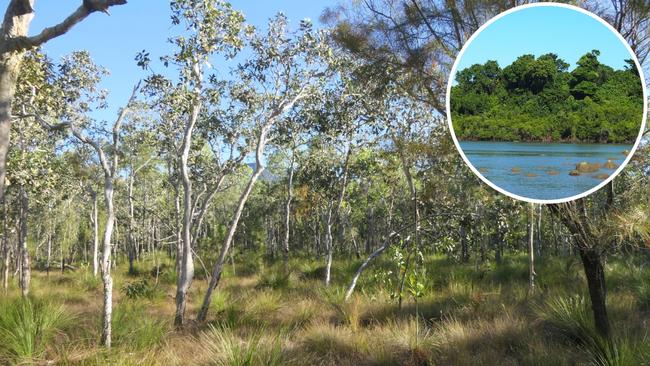 Broad leaf tea tree woodlands in North Queensland. Pictured inset, littoral rainforest at Mission Beach in Far North Queensland. Pictures: Supplied