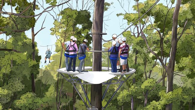 Mount Coot-tha zipline artist’s impressions - Treetop Canopy Tour