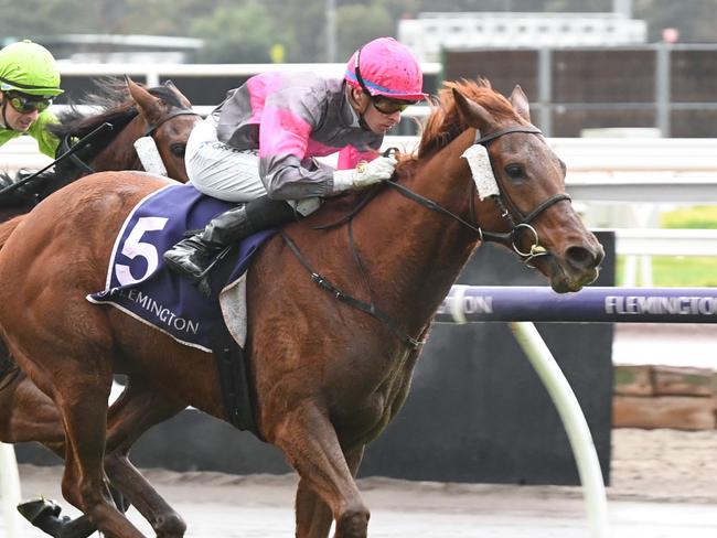 Hit The Road Jack (NZ) ridden by Michael Dee wins the Deane Lester Flemington Cup at Flemington Racecourse on July 20, 2024 in Flemington, Australia. (Photo by Brett Holburt/Racing Photos via Getty Images)