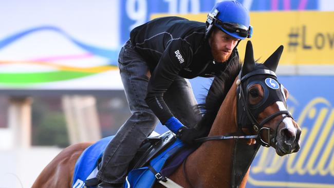 Hartnell will be racing at his favourite track in the Melbourne Cup.