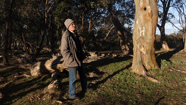 Bill Johnson in a threatened native forest on his property, also at Bannister. Picture: Sahlan Hayes