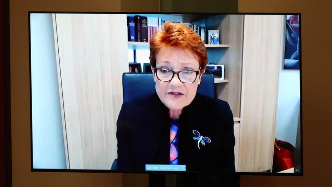 Pauline Hanson appearing in the Senate via video link in November. Picture: Gary Ramage/NCA NewsWire