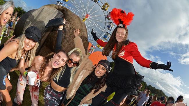 Eesha the Elephant with Ranger Ruby and festivalgoers at the Big Pineapple Music Festival in 2018.