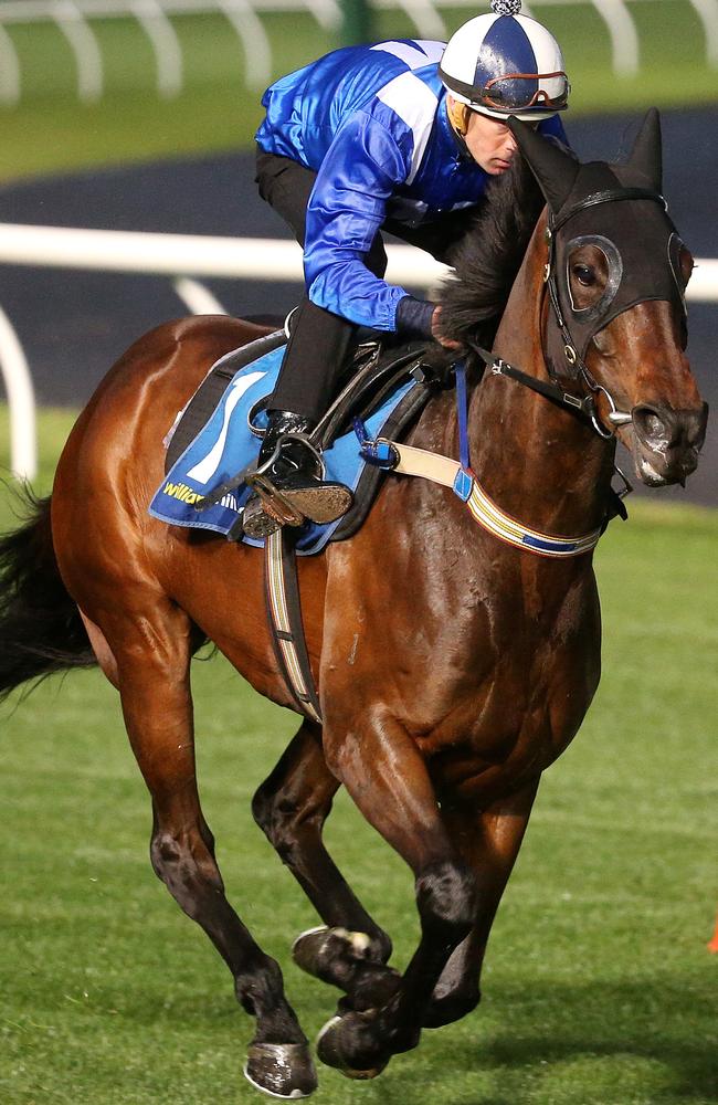 Winx looks primed for a big showing in the Cox Plate. Picture: Michael Klein