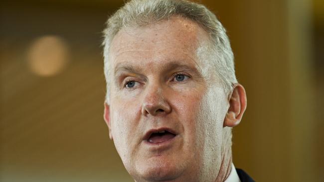 Tony Burke said the gender pay gap was to be a central consideration of the wages umpire. Picture: NCA NewsWire / Martin Ollman