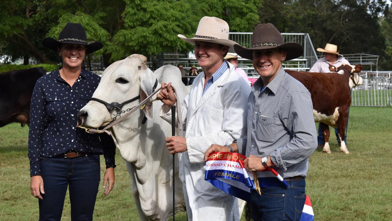 Junior champion female, Marilyn Monroe, from Maudsville on the first day of the Gympie Show, 2022.