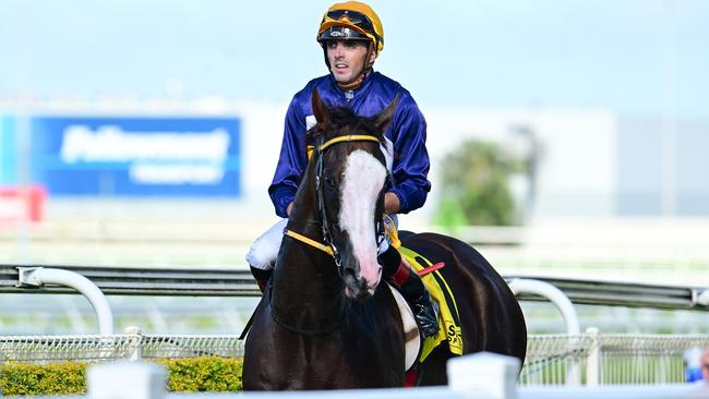 Martin Harley returns on Abounding after a brilliant win at Doomben. Picture: Grant Peters/Trackside Photography