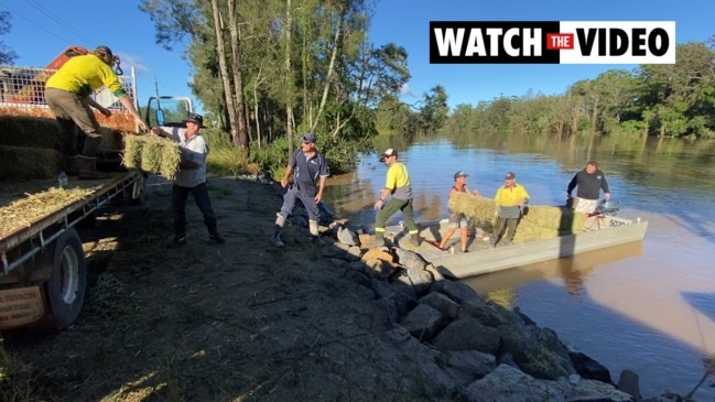 Volunteers help amid Mid North coast flooding