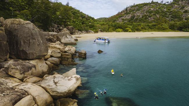 Snorkelling on an Aquascene tour at Magnetic Island. Picture: Tourism Queensland