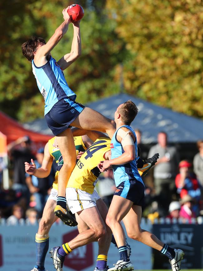 Sturt's Hugo Munn takes a screamer in the SANFL this year. Picture: Tait Schmaal