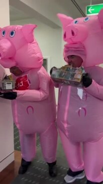 Australian Politicians Take Aim at Supermarket Duopoly Dressed as Pigs