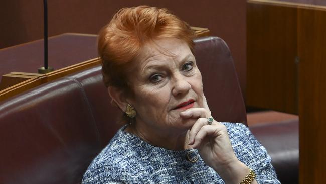 Pauline Hanson differed from her parliamentary colleagues and shared her support for tariffs. Picture: NewsWire/ Martin Ollman