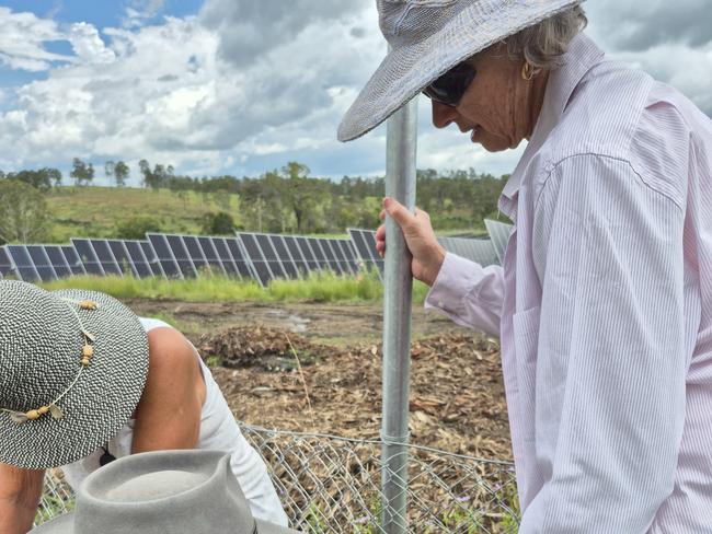 Rally solar farm