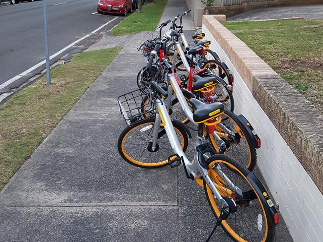 Share bikes left on the footpath at Raglan St. Picture: Terry Cominakis