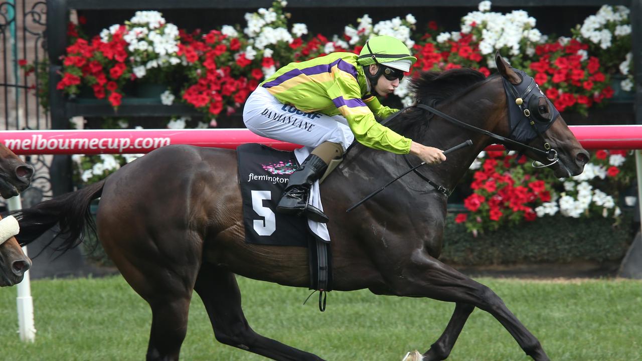 Races Flemington