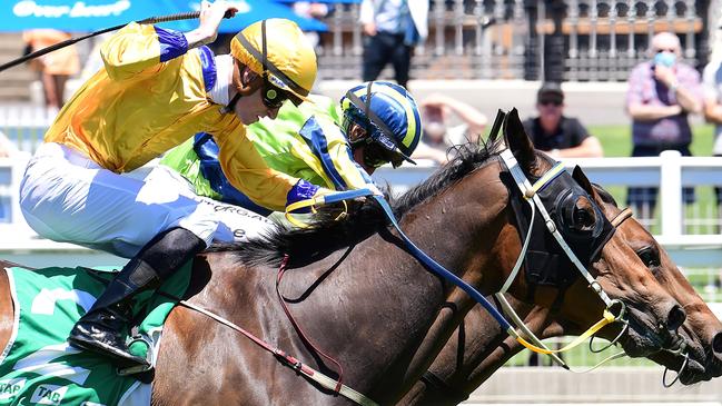 Vendidit (inside) won in a dead heat last start with Ciccina at Eagle Farm. Picture: Trackside Photography