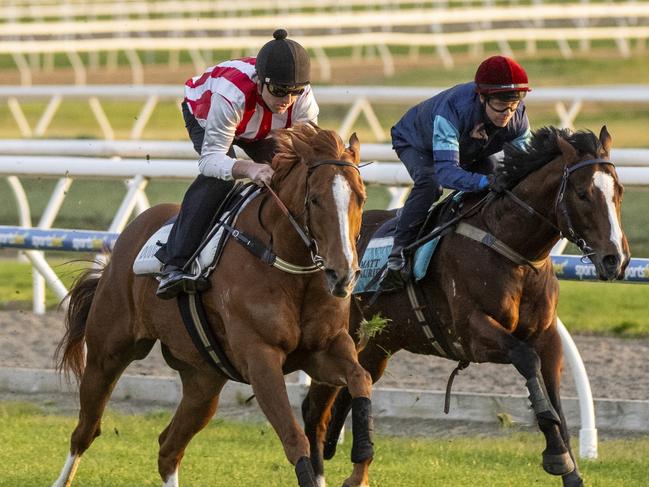 MELBOURNE, AUSTRALIA - AUGUST 07: Clayton Douglas riding Giga Kick (L) and Kerrin McEvoy riding Coleman (red cap) competing in heat one of Jump Outs on the course proper at Mornington Racecourse on August 07, 2024 in Melbourne, Australia. (Photo by Vince Caligiuri/Getty Images)