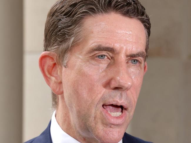 Cameron Dick, the Deputy Leader of the Opposition speaks, Parliament House, Porte Cochere, Wednesday 4th December 2024 - Photo Steve Pohlner