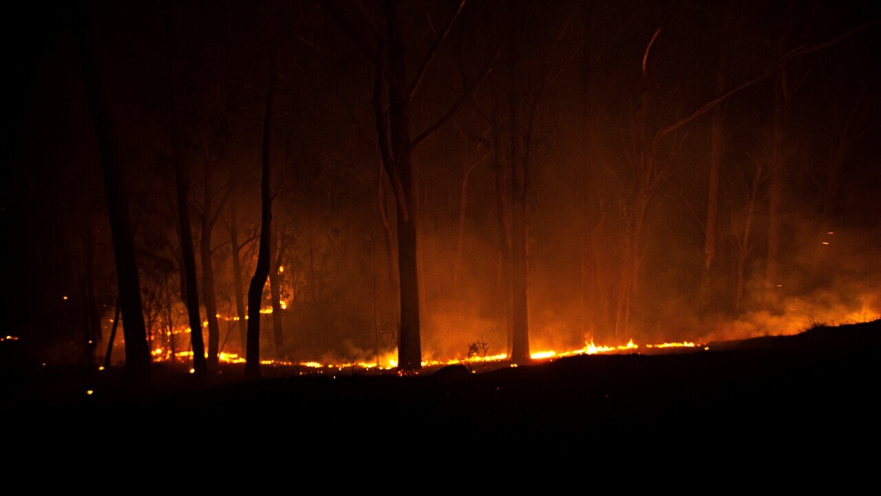 RFS warns of a significant grass fire season across NSW