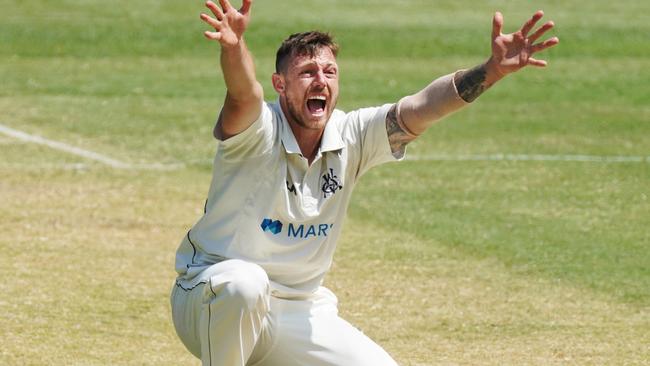 James Pattinson will vie with Michael Neser if Josh Hazlewood is ruled out.