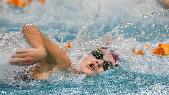 Mt Alvernia College swimmers in action. . Picture, John Gass