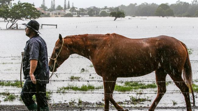 A Coast flood plain during a heavy downpour Picture: NIGEL HALLETT