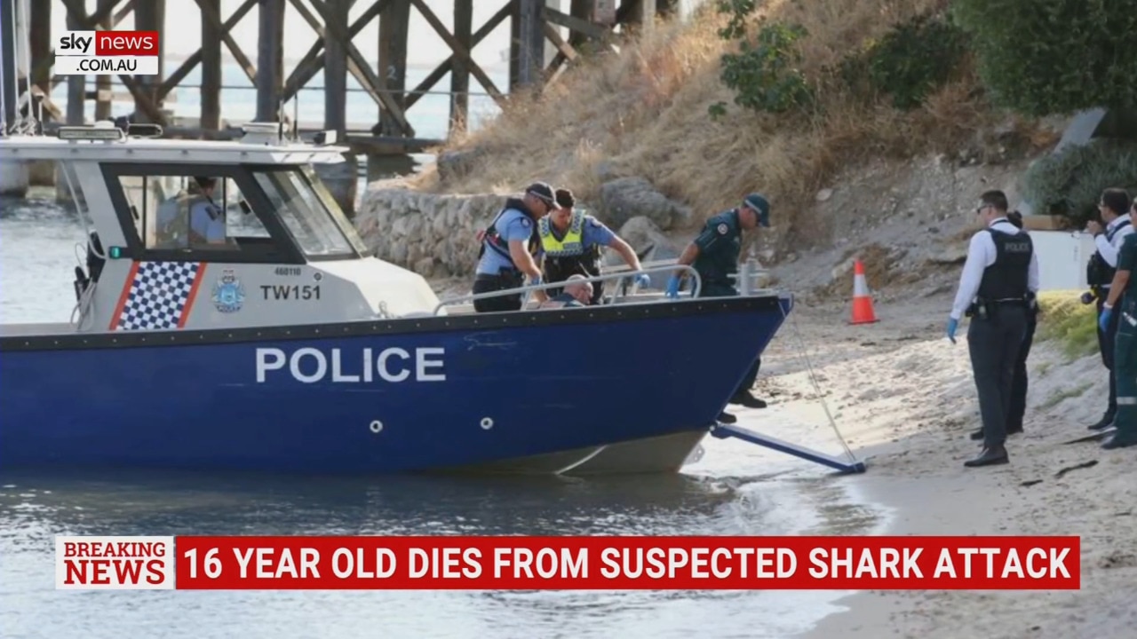 16-year-old girl dies after suspected shark attack in Perth | Sky News