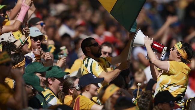 Matildas supporters at Bankwest Stadium. Picture: Getty Images