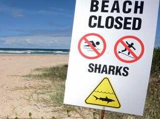 Shark attacks are every surfer's secret fear. Picture: Cathy Adams