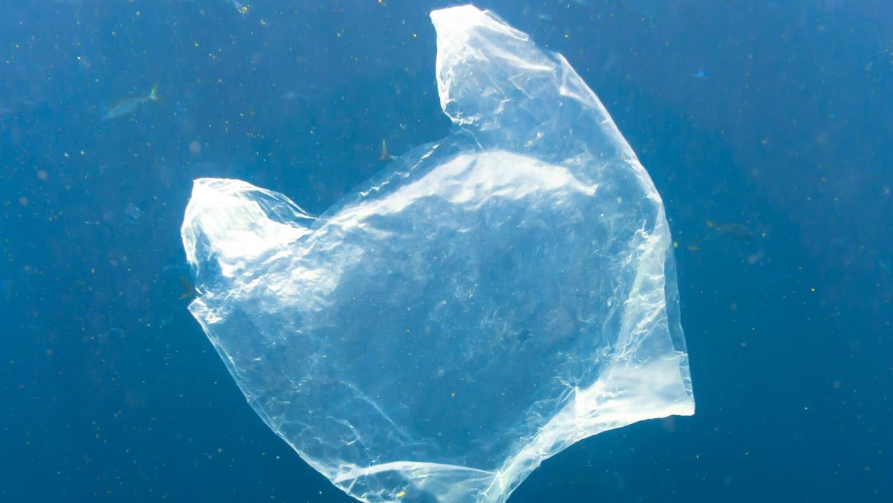 Reducing plastic bag usage will undoubtedly help marine life.