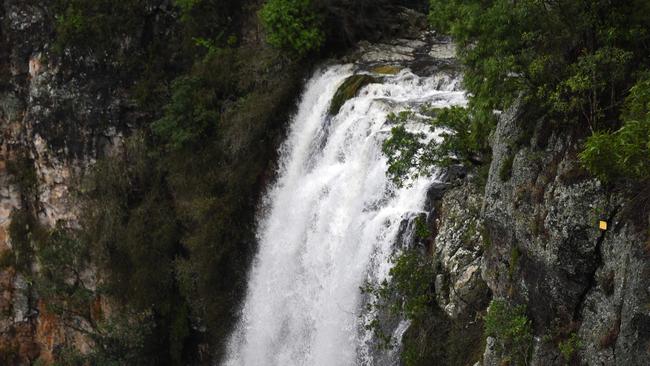 Purlingbrook waterfall in full flow at Springbrook after heavy rainfall. Photo: Steve Holland