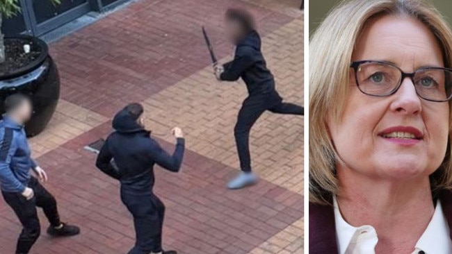 The Premier has made a massive announcement after up to 10 people, some armed with machetes, were involved in a brawl that plunged a shopping centre into lockdown.