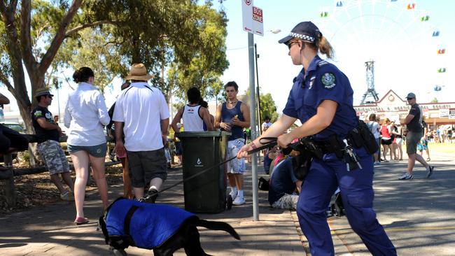 An SA police officer with a sniffer dog. Picture: File