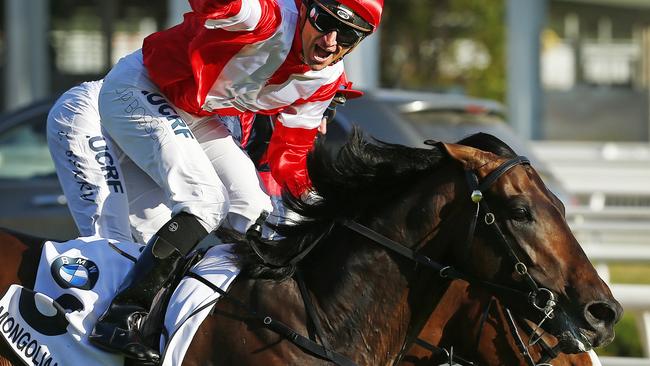 Caulfield Cup winner Mongolian Khan is favourite for the Australian Cup. Picture: Colleen Petch