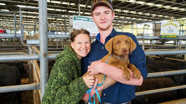 Hope Turner and Kyle Morrissey, from Colac, with 12-week-old chocolate Labrador Theo. Picture: Rachel Simmonds